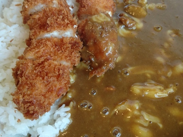 `[YƂ[_J[nEXCoCoԉL1X