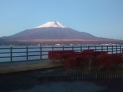 ꂨ񂳂̃TCNO[h̓eʐ^2