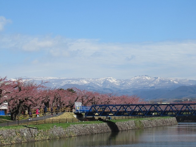 ���ØA�R���o�b�N�ɍ��Ƌ�_�ܗŊs����