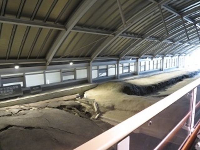 �쓇�f�w_�k�W�k�ЋL�O�����@�쓇�f�w�ۑ���