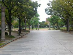 getd����̓V�_���������ւ̓��e�ʐ^1