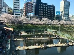 市ヶ谷フィッシュセンターの口コミ一覧 2ページ目 じゃらんnet