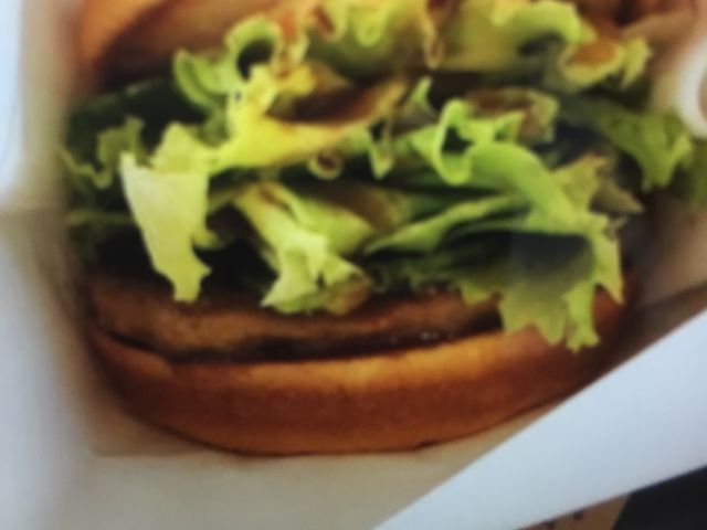 ��������_���X�o�[�K�[ ��k�p���W���X