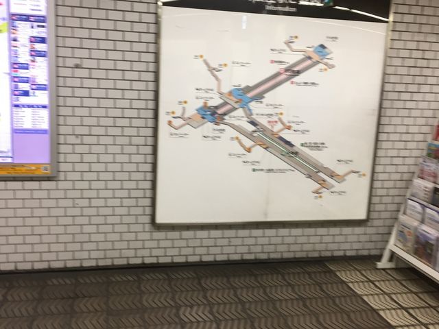 ���g���w_���g���w�i�������E����O���j