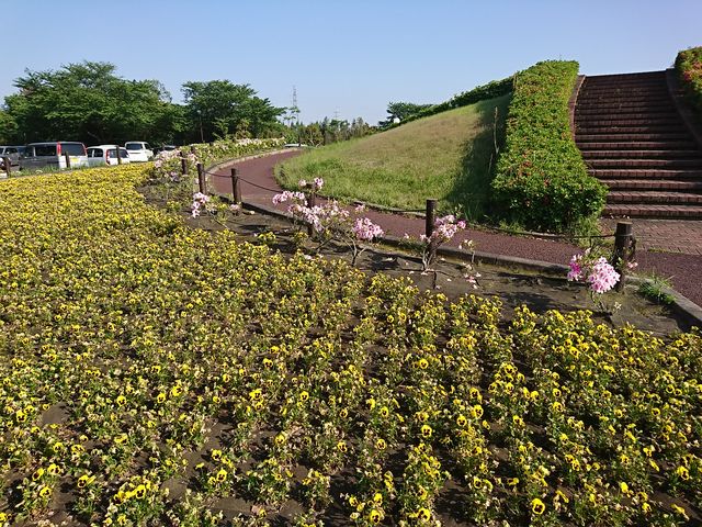 �������̉�_�鎭�t�����[�p�[�N