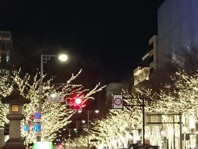 �w�߂��̌����__�\�Q���w