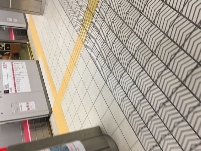 ���g���w_���g���w�i�������E����O���j