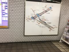 �~���N������̈��g���w�i�������E����O���j�ւ̓��e�ʐ^1