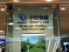 ܂肳̏c}dSւ̓eʐ^1