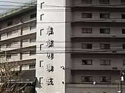 SHOZȎ]ˉ򕨌 zeS{䉑̓eʐ^1