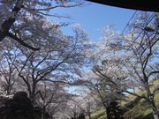 ݁B̖[Jg[Nu[St̓eʐ^3