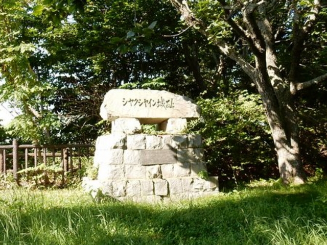 u-miñVNVCՔ̓eʐ^1