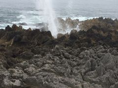 �g�V����񂳂�̊���̒�����ւ̓��e�ʐ^1