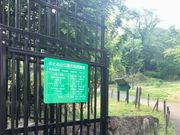 ���ʂ��ʂ���̂��ƂߎR�����̓��e�ʐ^1