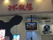 ܂Ȃ̃}U[q ][ivUX̓eʐ^1