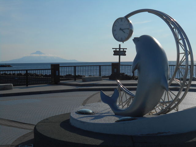 �C���J�̃��j�������g_�b�R�����`����