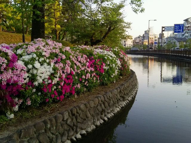 �������_�������