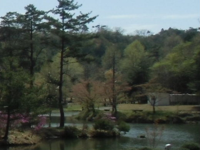 tos̉H΃TEX|[ch̓eʐ^1