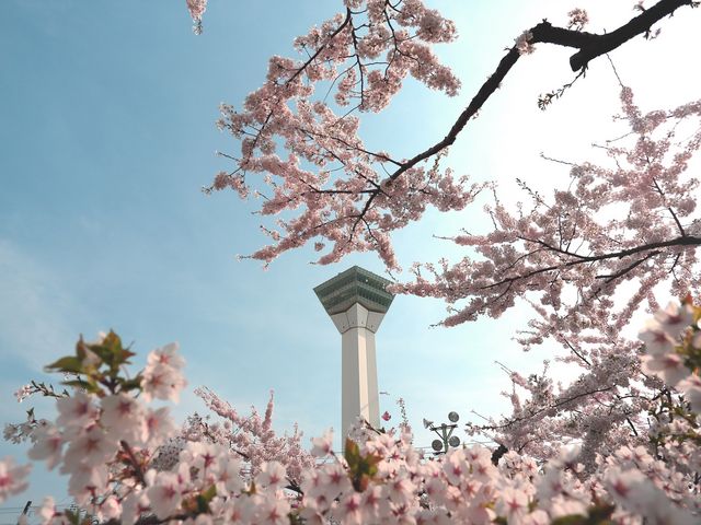 �ܗŊs��_�ܗŊs����