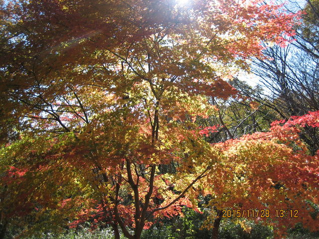 �g�t_�k�R����