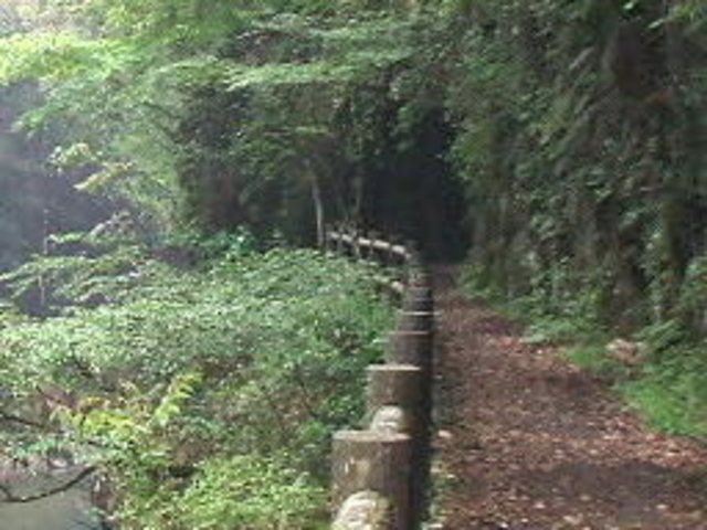 �g���l���T��_�O�V�{���i�V�����j