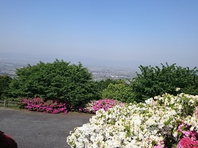 ܂܂̋vĐXт̂̓eʐ^1