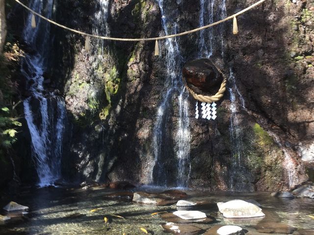 �ʗ��̑�_�ʗ��̑�