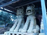 Ԃ񂽂̐E̔ZĂ܌̓eʐ^1