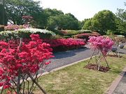 ܂܂̋vĕSN̂̓eʐ^1