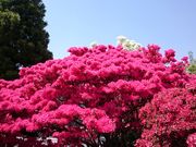 ܂܂̋vĎsEZ^[̓eʐ^1