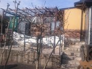 ܂܂̃N[ubcE퐶uX̓eʐ^1