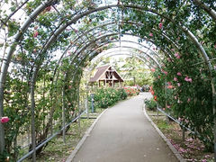 �͂邤��炳��̃~�T�T�K�p�[�N�ւ̓��e�ʐ^1