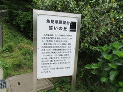 1962̋˓W]ւ̓eʐ^1