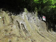 1962̃`ojAint]nwj̓eʐ^2