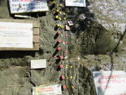 1962̃`ojAint]nwj̓eʐ^3