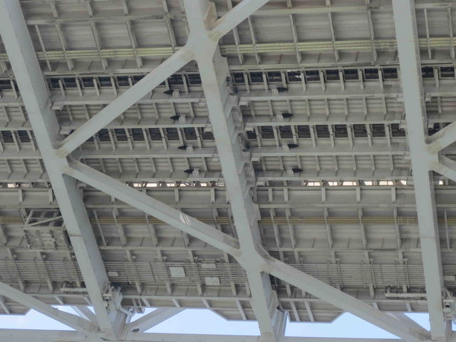 �������p�o�X�������̂ŁA���̉�����̒���_�t�W�e���r�{�Ѓr��