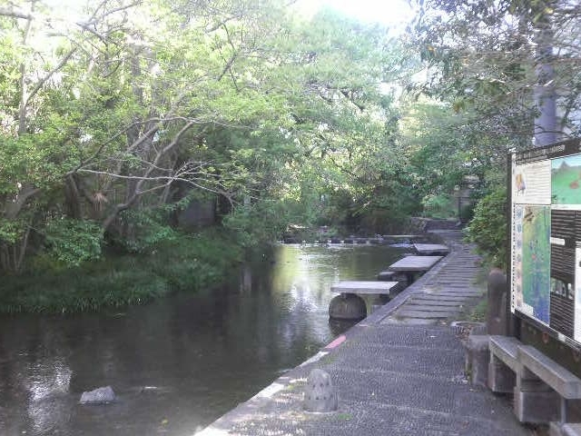 �y�����̓���t�߂̌����q��㗬_�����q��㗬�y�����̓��