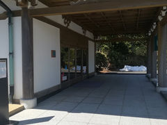 ނ̐iA艷 {aւ̓eʐ^2