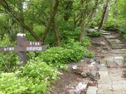 C[XgEbh̍͌RTH̓eʐ^1