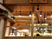 肳̃JXJ[h vUX̓eʐ^2