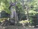 さとけんさんの牧水の碑（静岡県裾野市）の投稿写真1