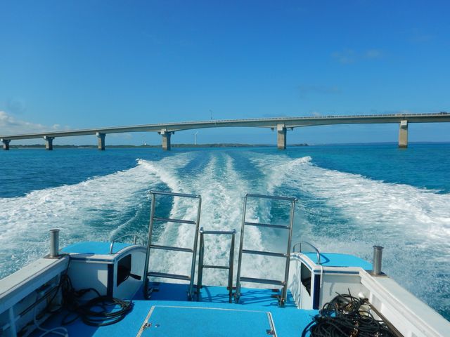 �r�ԑ勴_�_�C�r���O�T�[�r�X�ɊC