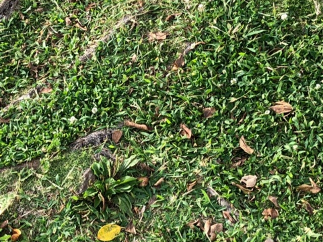 ���[�ҁ[����̒��ԑ��L�˂̓��e�ʐ^1