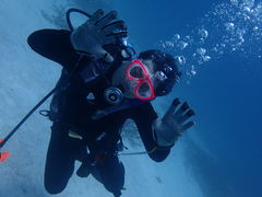 KENKEN666����̃_�C�r���O�T�[�r�X�ɊC�ւ̓��e�ʐ^1