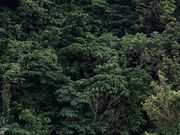 ���[�ҁ[����̈ɐ����R�X�ь����̓��e�ʐ^1