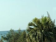 ���[�ҁ[����̓��������̓��e�ʐ^1