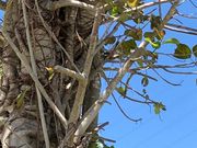 ���[�ҁ[����̒���(�R�ǋy�ъR���̓���A���Q��)�̓��e�ʐ^1