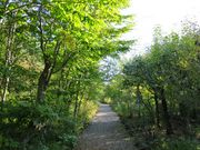 Todayšy򒬐A̓eʐ^1