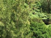 [ҁ[̗L ǎRO[v̓eʐ^1