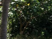 [ҁ[̖쌴x̗΂̓eʐ^1